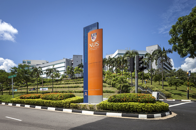 nus personal statement writing help nus personal statement writing help